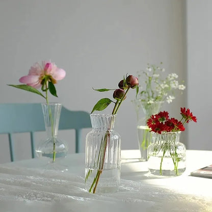 Nordic Style Transparent Vase for Plant and Flowers