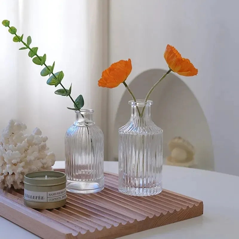 Nordic Style Transparent Vase for Plant and Flowers