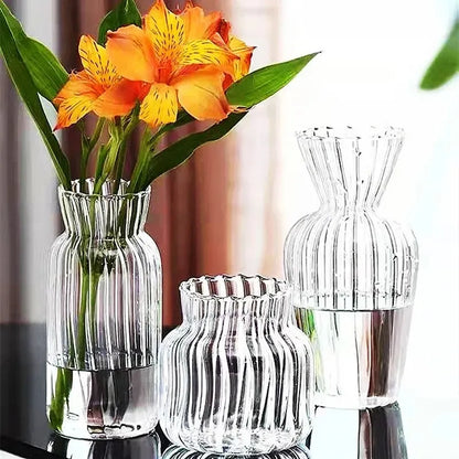 Nordic Style Transparent Vase for Plant and Flowers