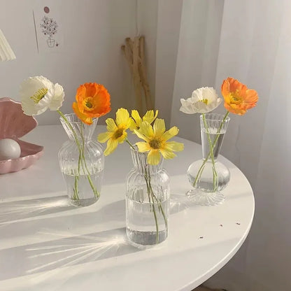 Nordic Style Transparent Vase for Plant and Flowers