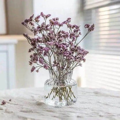 Nordic Style Transparent Vase for Plant and Flowers